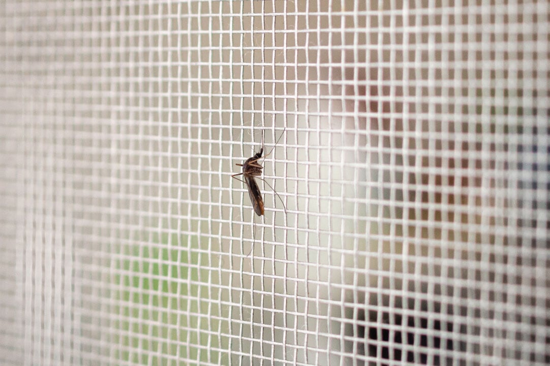 Moustiquaire Vert 1M00 X 30ML